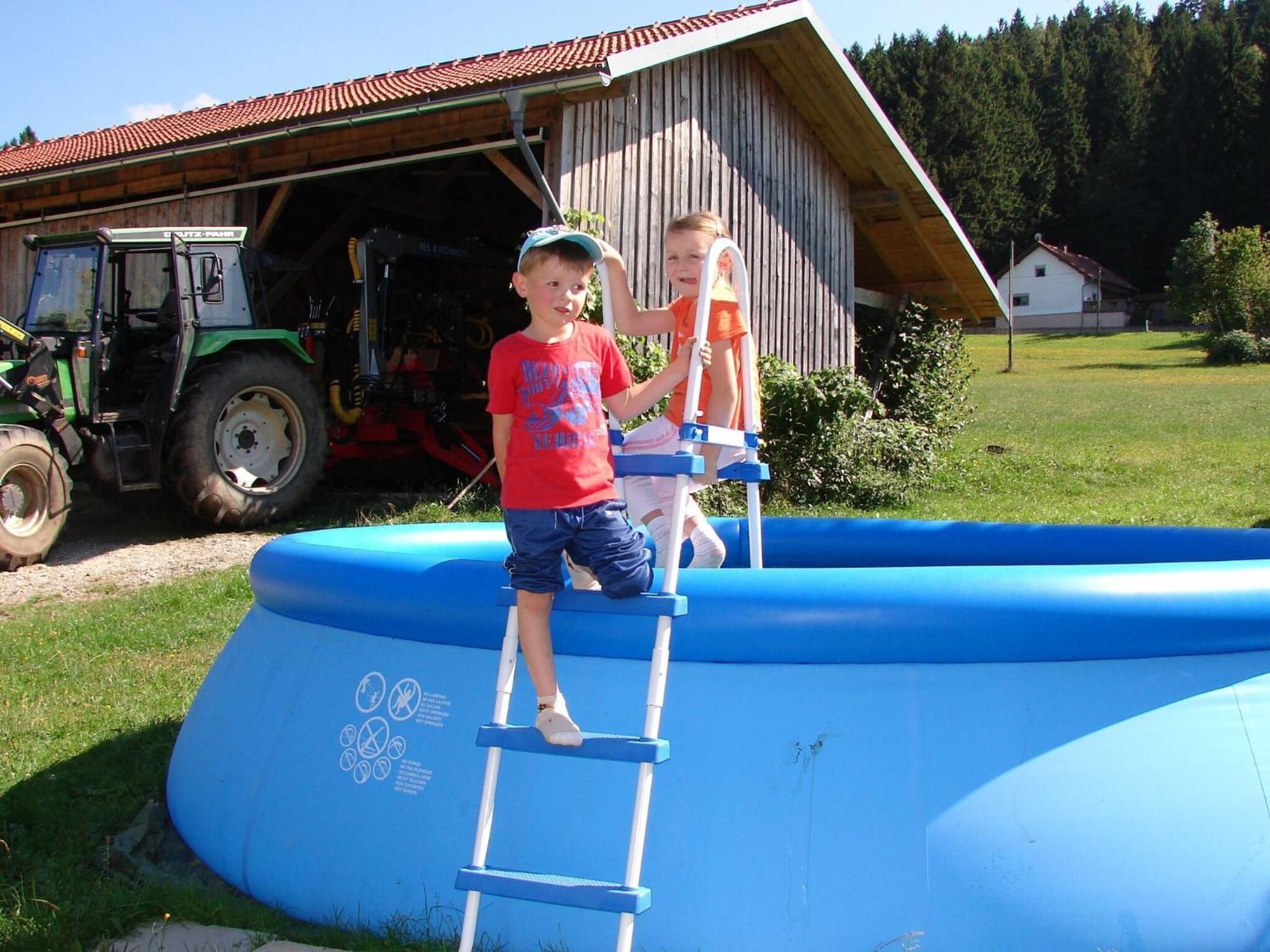 Apartment On A Farm Near The Ski Area Neukirchen beim Heiligen Blut Exterior photo